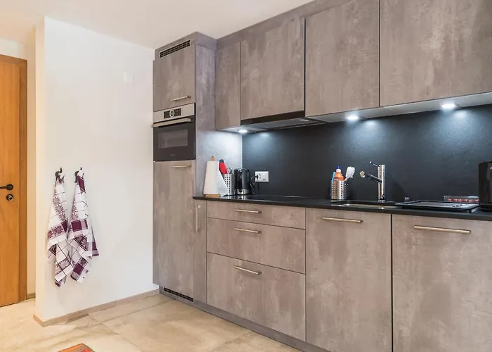 Village With Matterhorn View Apartment Zermatt